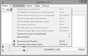 TeamTalk программа голосового и видео общения