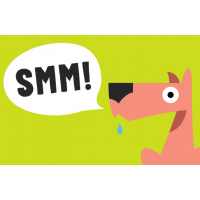 Видеокурс Специалист по рекламе в социальных сетях