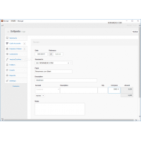 Manager учет финансов компании