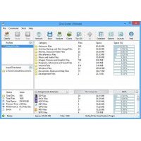 Disk Sorter Ultimate Enterprise 12