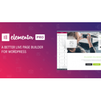 Elementor Pro