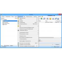 The Bat! Professional 10