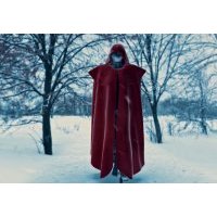 RESIDENCE of EVIL: VIGIL