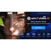 Winxvideo AI