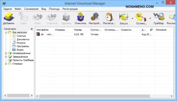 Internet Download Manager