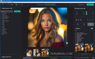 Perfectly Clear WorkBench