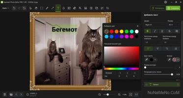Icecream Photo Editor