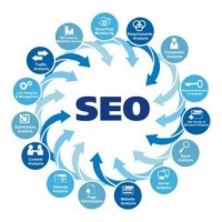 Seo Analyzer 1.1 скрипт SEO инструментов