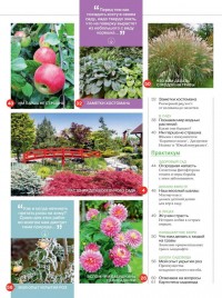 Журнал Сад своими руками №1 январь 2016