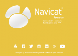 mSoft Navicat Premium 11.2.4 Enterprise работа с базами данных