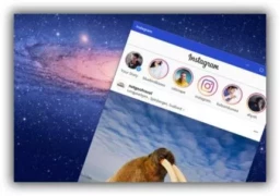 Instagram для Windows 10 получило обновление